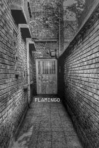 Poster to the movie "Flamingo" #600860