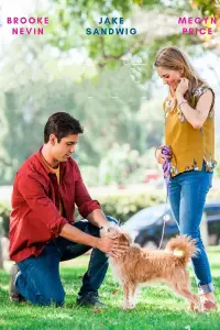 Poster to the movie "Hometown Hero" #1105394