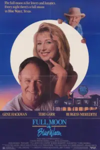 Poster to the movie "Full Moon in Blue Water" #958773