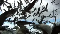 Backdrop to the movie "Leviathan" #788443