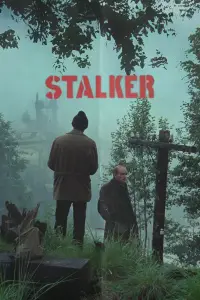 Poster to the movie "Stalker" #734125