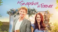 Backdrop to the movie "A Snapshot of Forever" #969600
