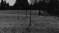 Backdrop to the movie "ALETHEIA" #776897