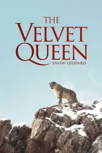 Poster to the movie "The Velvet Queen" #1175420