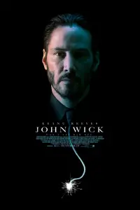 Poster to the movie "John Wick" #526066