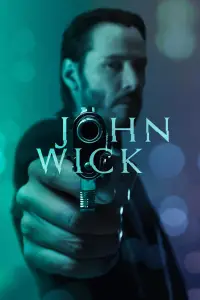 Poster to the movie "John Wick" #526110
