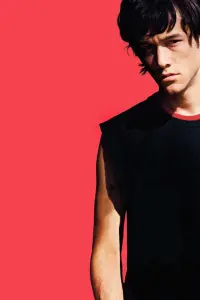 Poster to the movie "Mysterious Skin" #855975