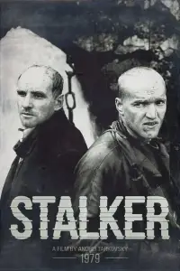 Poster to the movie "Stalker" #984653