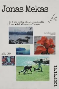 Poster to the movie "As I Was Moving Ahead, Occasionally I Saw Brief Glimpses of Beauty" #993349