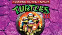Backdrop to the movie "Teenage Mutant Ninja Turtles III" #971137