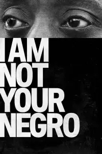Poster to the movie "I Am Not Your Negro" #1107642