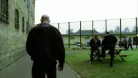 Backdrop to the movie "Pusher II" #860747