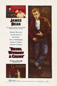 Poster to the movie "Rebel Without a Cause" #952635