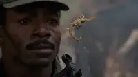 Backdrop to the movie "Predator" #867625