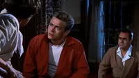 Backdrop to the movie "Rebel Without a Cause" #816841