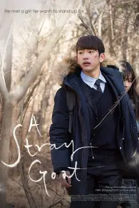 Poster to the movie "A Stray Goat" #1011177