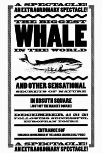 Poster to the movie "Werckmeister Harmonies" #1000166