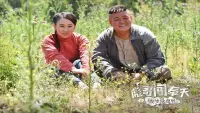 Backdrop to the movie "Brother Biao Fight Back to Fengtian" #840229