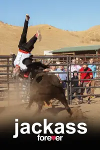 Poster to the movie "Jackass Forever" #974209