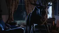 Backdrop to the movie "Bambi: The Reckoning" #801981