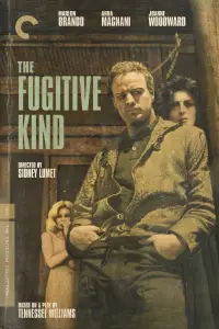 Poster to the movie "The Fugitive Kind" #1141795