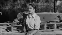 Backdrop to the movie "Creature from the Black Lagoon" #783004