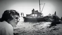 Backdrop to the movie "Jaws @ 50: The Definitive Inside Story" #801974