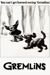 Poster to the movie "Gremlins" #610574