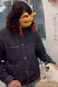 Poster to the movie "Tail of Cinema" #874280