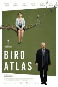 Poster to the movie "Bird Atlas" #1049771