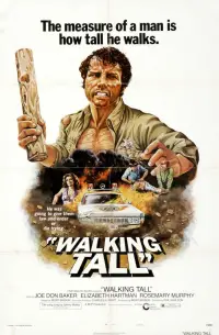 Poster to the movie "Walking Tall" #985936