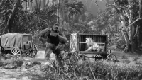 Backdrop to the movie "Mighty Joe Young" #746759