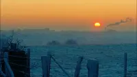 Backdrop to the movie "You and the Night" #781408