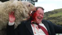 Backdrop to the movie "Black Sheep" #785907