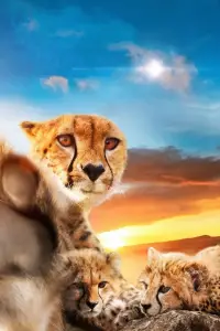 Poster to the movie "One Life" #1028222