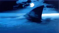 Backdrop to the movie "Shark Attack" #715736
