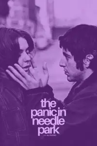 Poster to the movie "The Panic in Needle Park" #1173383