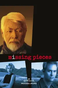 Poster to the movie "Missing Pieces" #1152178