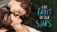 Backdrop to the movie "The Fault in Our Stars" #944946