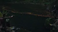 Backdrop to the movie "A Reckoning" #768812