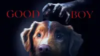 Backdrop to the movie "Good Boy" #1003475