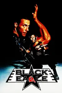 Poster to the movie "Black Eagle" #1096498