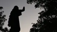 Backdrop to the movie "The Forgotten" #562888