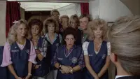 Backdrop to the movie "Stewardess School" #756436