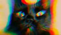 Backdrop to the movie "A Short Film About Cats" #889308