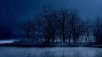 Backdrop to the movie "The Assassin" #508097