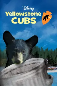Poster to the movie "Yellowstone Cubs" #990556