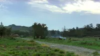 Backdrop to the movie "Dust in the Wind" #731155