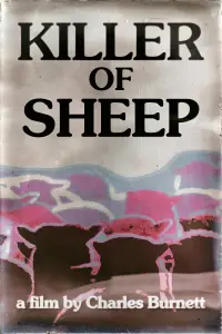 Poster to the movie "Killer of Sheep" #992927