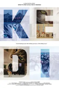 Poster to the movie "Kedi" #1167209